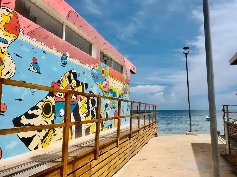 公寓 坎昆Comoda Habitacion A 5 Min De La Playa! -Jellyfish-公寓